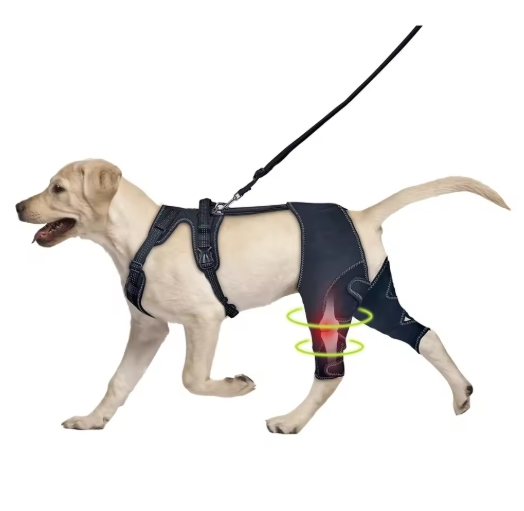 Orthopädische Stütze für Hunde